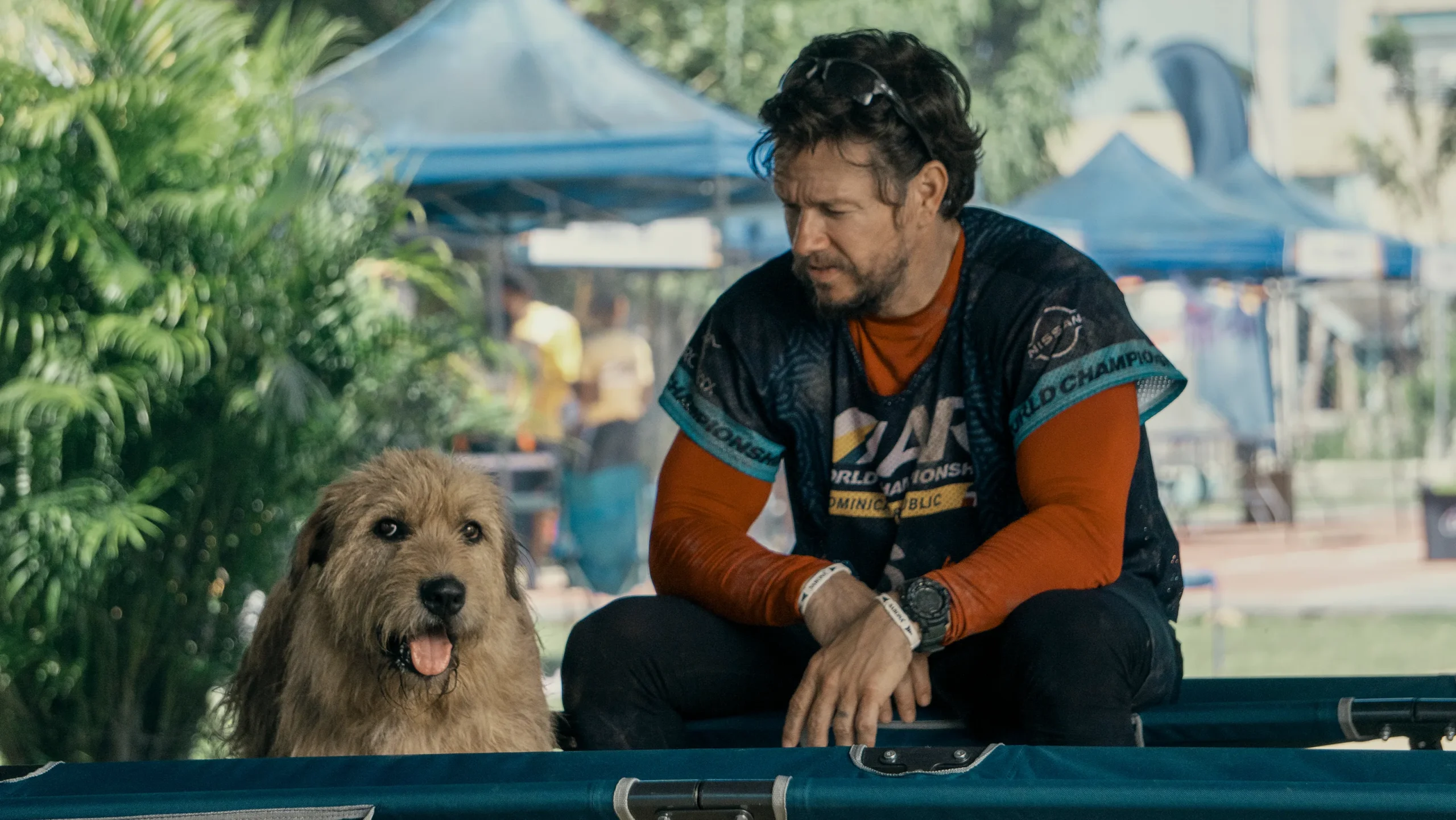 Mark Wahlberg Applauds Arthur the King Doggy as Film Achieves Career Best Audience Score