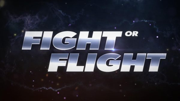 Fight or Flight Film